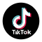 Tiktok Video Downloader Free Online